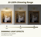 Wireless Picture Lights Rechargeable Gallery Lighting Battery Picture Frame Light with Remote and Timer, Adjustable Art Light for Paintings, Portraits, Antique Bronze Finish 12'' Inch 2W 2700K