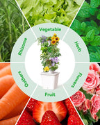 Vertical Hydroponics Growing System Kit, Indoor Outdoor Gardening System Kits, Herb & Fruits Growing Tower, 6 Layer 30 Pods