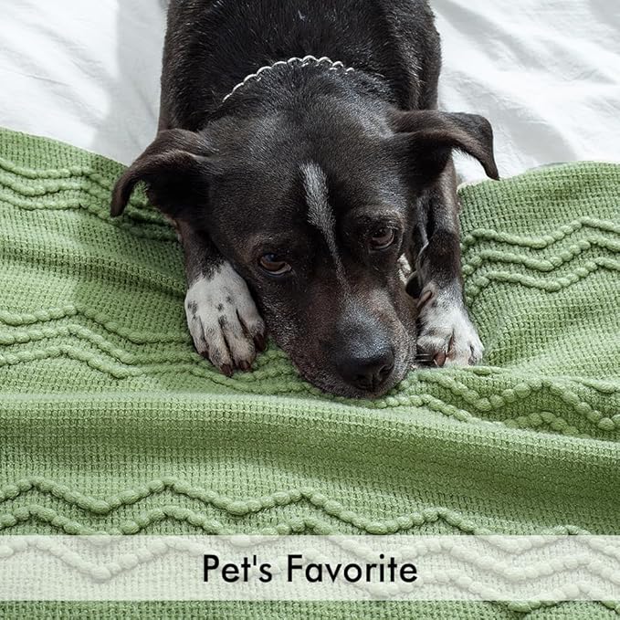 MIULEE Sage Green Knitted Throw Blanket for Couch Textured Spring Knit Blanket with Tassels Cozy Woven Boho Bed Blanket for Sofa Bed Chair Acrylic Wave Pattern 50"x60"