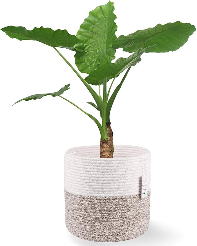 Woven Cotton Rope Plant Basket for 11 inch Flower Pot Floor Indoor Planters,Decorative Small Basket for Plants Storage Organizer Modern Home Decor (12" x 12", Khaki)