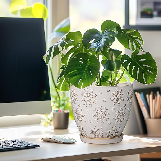 Ceramic Planter 8 Inch Plant Pot with Drainage Hole and Saucer Ceramic Pots for Indoor Plants Outdoor Large Flower Pot for Home Decor White