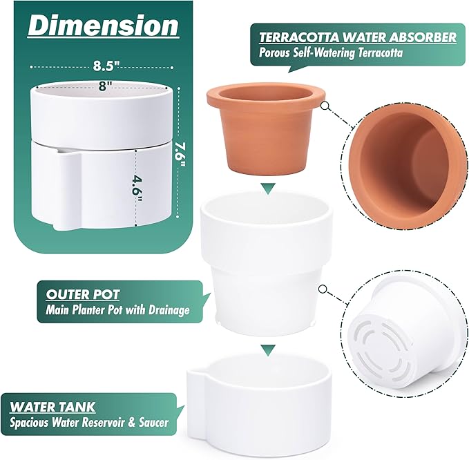 Phoenix Vine 8 Inch Self-Watering Planter Pot with Terracotta Insert, Deep Water Reservoir, and Ceramic-Alike BPA-Free Plastic Planter Pot for Plant, Modern Planter for Houseplants, White, 53-A-T-1