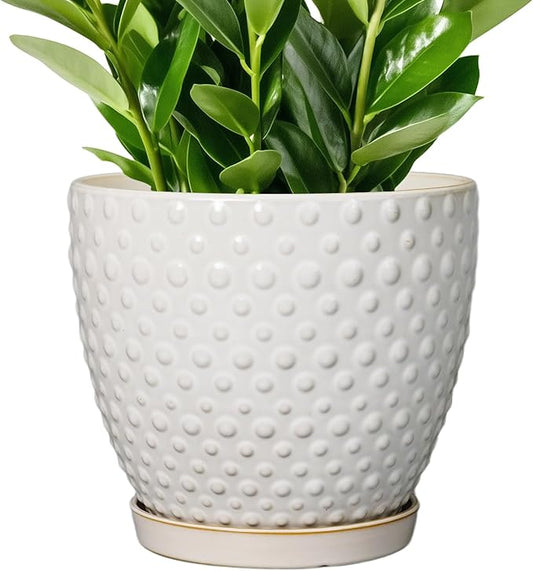 G EPGardening 10 Inch Plant Pot Ceramic Pots for Plants Indoor Outdoor Plant Pots with Drainage Hole and Saucer Round Large Flower Pot for Home Garden Office White