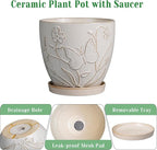 6 Inch Ceramic Plant Pot for Indoor Plants Outdoor Round Planter Flower Pot with Drainage Hole and Saucer for Home Garden Office Decor White