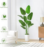 Lifelike Bird of Paradise Silk Artificial Plant Faux Banana Leaf Tree for Home Decor - Perfect Indoor Floor Plant with 9 Trunks (1, Black Planter, 5 FT)