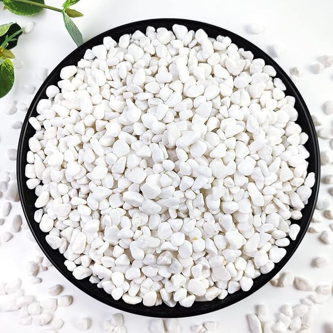 2LB Succulent and Cactus Gravel Pebbles, 1/5 Inch White Natural Decorative Polished Stones, River Rocks for Plants, Vases, Aquariums, Terrarium and Outdoor Gardening,White