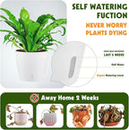 Self Watering Pots for Indoor Plants, 8-Pack 5'' Self Watering Planter with Drainage Holes, Small African Violet Pots with Water Level Indicator, Clear Wick Pot, White/Black