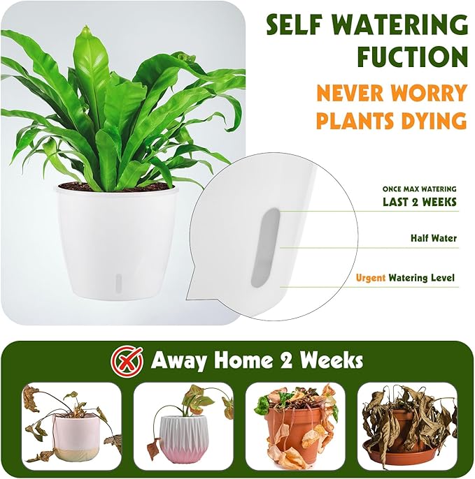 Self Watering Pots for Indoor Plants, 12-Pack 5'' Self Watering Planter with Drainage Holes, Small African Violet Pots with Water Level Indicator, Clear Wick Pot, White/Black