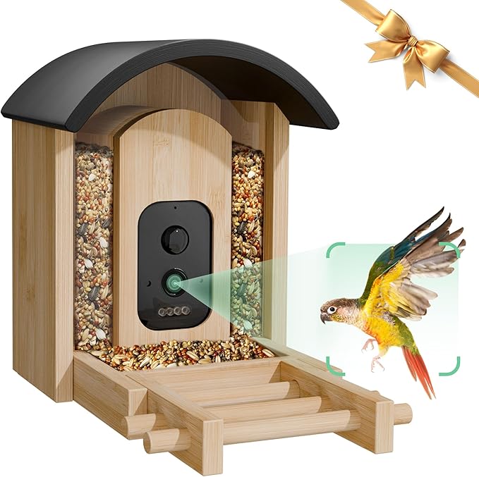 Bird Feeder with Camera, Smart Wild Bird Feeder for Outdoors with AI Identify, Solar Bird Feeder Watching Camera Auto Capture Birds & Real-time Notifications, Gifts for Birdlover (Arch)