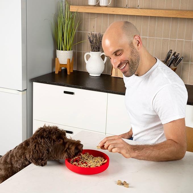 The Slowdown Bowl Silicone Slow Feeder for Dogs & Puppies, Slow Eating, Modern Lick Mat Design, Reduces Gulping, Fits 2 Cups 7.5” Across x 1.5” Tall, Mealtime Challenge, Medium-Cherry