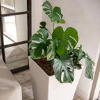 XBrand Modern 28-Inch Square Planter, Modern Tapered Planter Perfect for Indoor & Outdoor, Patio Décor, Set of 2