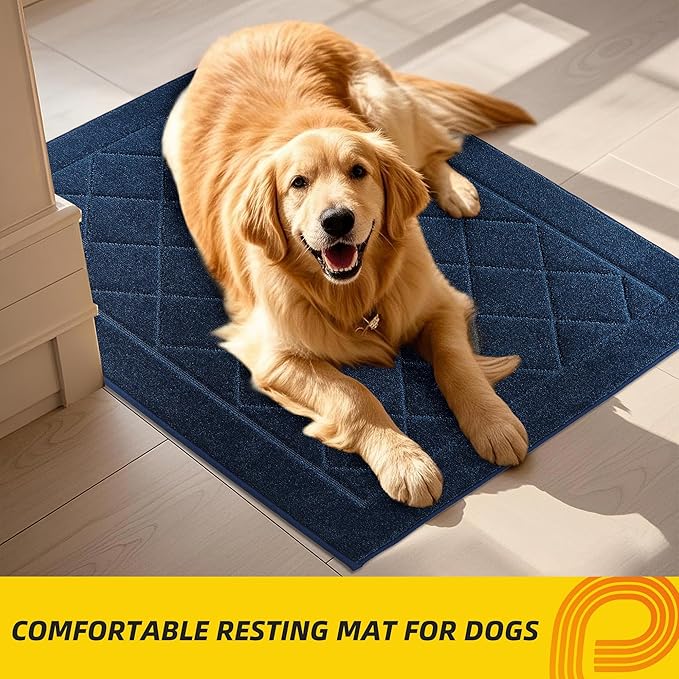 JSEI Dirt Trapper Door Mat 32"x48", Non-Slip Washable Entryway Mats, Dog Door Mat, Stain Resistant and Absorbent Floor Mats, Low Profile Welcome Mat for Front Back Door, Navy Blue