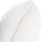THARAHT 12pcs White Ostrich Feathers Natural Bulk 14-16Inch 35cm-40cm for Wedding Party Centerpieces Easter Gatsby and Home Decorate Ostrich Feathers