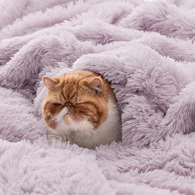 Bedsure GentleSoft Fuzzy Sherpa Faux Fur Twin Blanket Lavender Purple Cozy Gifts for Women Men, Soft Fleece Plush Warm Thick Blanket Twin Size for Bed, Room Dorm Essentials Purple Decor Gifts, 60x80
