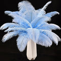 THARAHT Light Purple Ostrich Feathers 12pcs Natural Bulk 8-10Inch 20cm-25cm for Crafts Wedding Party Centerpieces Easter Gatsbi and Home Decoration Feathers