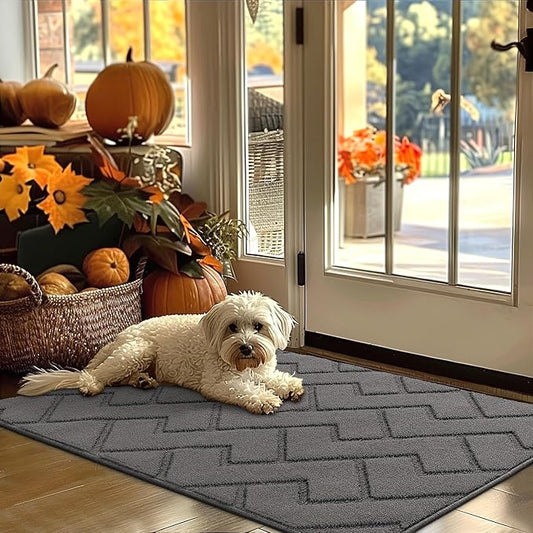 hicorfe Indoor Door Mat,Non Slip Door Mats,32"x48" Front Back Door Mat Rubber Backing,Absorbent Resist Dirt Entrance Inside Floor Mats for Entryway Washable Low-Profile(Grey)