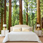 WFBHUA-Redwood Forest Wallpaper Green Woodland Tree Wallpaper for Bedroom Large Art Wall Murals for Living Room Office (Not Peel and Stick)