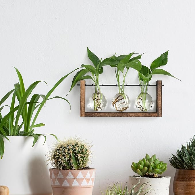 YIBOT Plants Propagation Stations,Plant Terrarium with Wooden Stand Wall Hanging Glass Planter Plant Propagation Vase for Indoor Office Home Garden Decor Plant Lover Gifts for Women