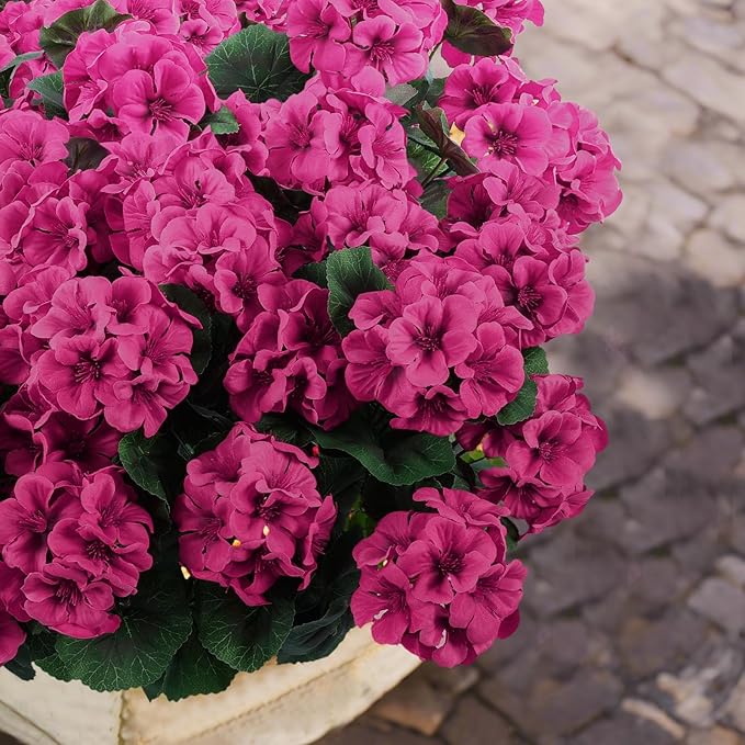 Hananona 12 Pcs Artificial Geranium Flowers for Outdoors Geranium Silk Flowers Outdoor UV Resistant Garden Plants Faux Flowers for Ptio Front Door Kitchen Table Centerpieces Home Decor (12, Rose Red)