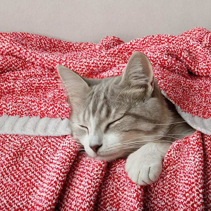 MIULEE Red Super Soft Throw Blanket for Couch, Cozy Fluffy Warm Blankets Knit Throw Blankets for Sofa, Bed, Chair, Living Room, Camping, Picnic, 50 x 60 inch