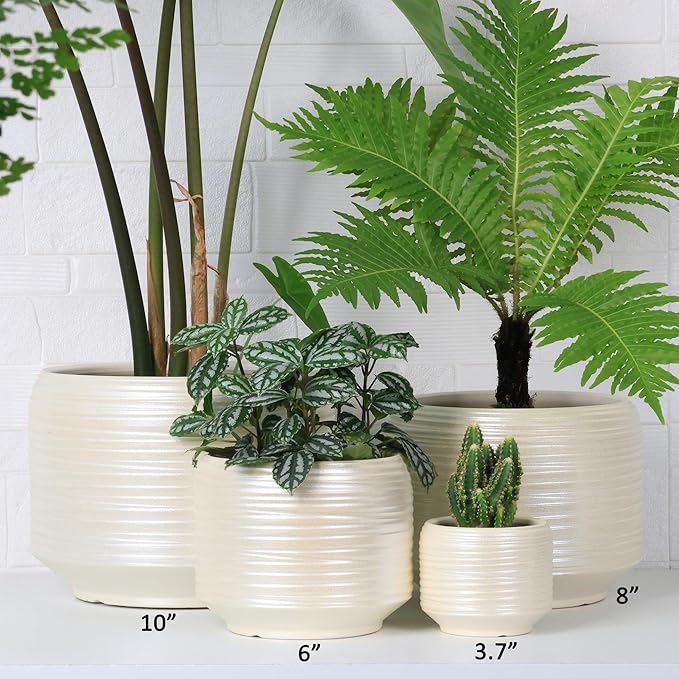 Mini Succulent Planter Set – 3.7 Inch Ceramic Pots with Drainage for Indoor Plants, Small Decorative Flower Pots for Cactus and House Plants, Set of 4
