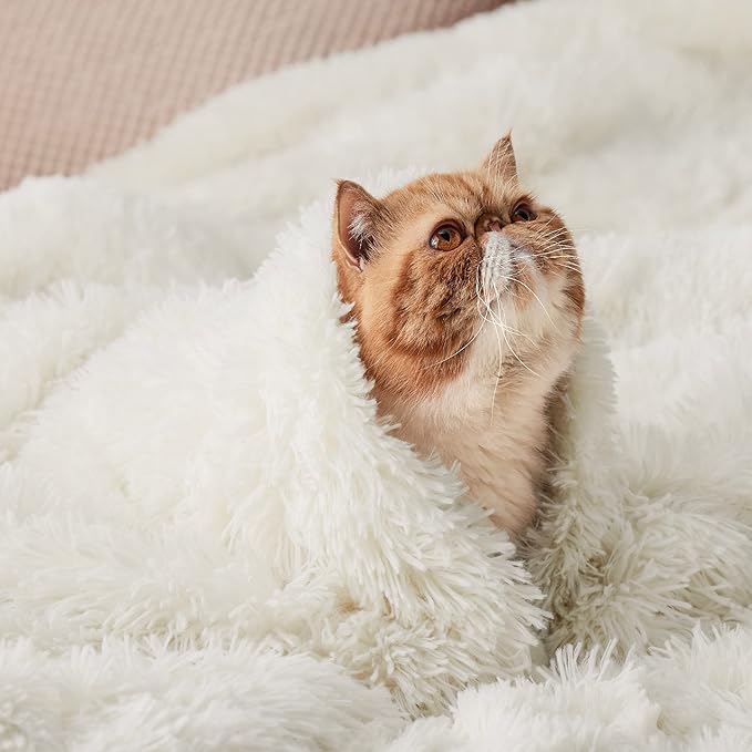 Bedsure GentleSoft Fuzzy Sherpa Faux Fur Twin Blanket Cream Cozy Gifts for Women, Soft Fleece Plush Warm Minky Thick Blanket Twin Size for Bed, Couch, Room Dorm Essentials Cream Decor Gifts, 60x80