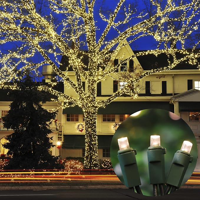 Warm White Wide Angle LED String Lights, 64.8 Ft 300 Count, Pack of 3 Strands 21.9 Ft 100 Lights UL Certified Commercial Grade Green Wire 5mm Holiday String Light