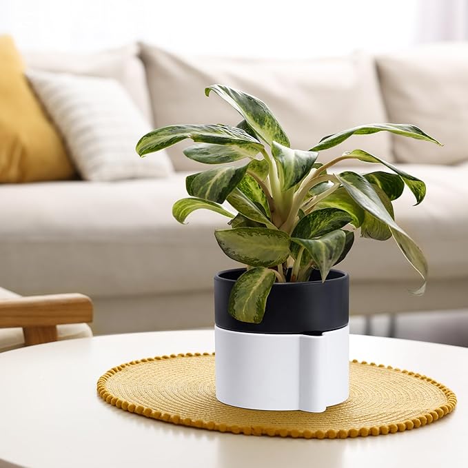 Phoenix Vine 6.5 Inch Self-Watering Planter Pot with Terracotta Insert, Deep Water Reservoir, and Ceramic-Alike BPA-Free Plastic Pot for Plant, Modern Planter for Houseplants, White/Black, 53-B-S-4