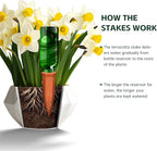 Terracotta Watering Spikes, Wine Bottle Watering Stakes, Slow Release Self Watering Planter Insert for Out | Indoor Plants, Vacation Plant Watering Devices, Automatic Plant Waterer, 4-Pack