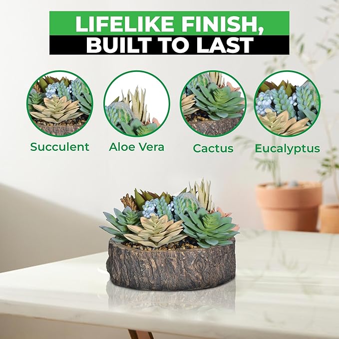 Premium Assorted Artificial Succulent Collection - Large Real Touch Artificial Cactus, Aloe Vera & Succulent Plants Artificial with Pots for Home Office Indoor (Artificial Tree Stump - Pot)