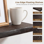 Axeman 24 inch Floating Shelves for Wall - 8'' D Live Edge Rustic Solid Elm Wood Floating Shelves Wall Mounted, Wall Shelves with Invisible Bracket for Living Room Bedroom Kitchen, Set of 2 Walnut