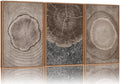 SIGNINART Beige Tree Ring Framed Canvas Wall Art Set, Abstract Black and White Rustic Wood Wall Decor, Neutral Wood Stump Artwork, Modern Art Prints for Bedroom Living Room Office 16"x24"x3