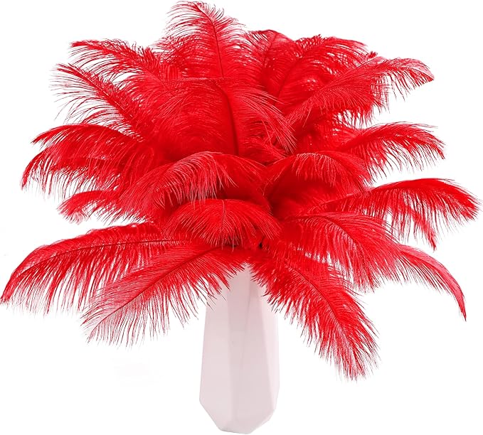 THARAHT Red Ostrich Feathers 24pcs Natural Bulk 10-12Inch 25cm-30cm for Crafts Wedding Party Centerpieces Halloween and Home Decoration Feathers