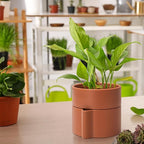 Phoenix Vine 6.5 Inch Self-Watering Planter Pot with Terracotta Insert, Deep Water Reservoir, and Ceramic-Alike BPA-Free Plastic Pot for Plant, Modern Planter for Houseplants, Terracotta, 53-A-S-3
