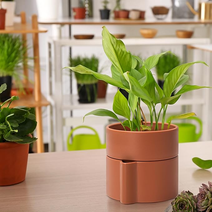 Phoenix Vine 6.5 Inch Self-Watering Planter Pot with Terracotta Insert, Deep Water Reservoir, and Ceramic-Alike BPA-Free Plastic Pot for Plant, Modern Planter for Houseplants, Terracotta, 53-A-S-3