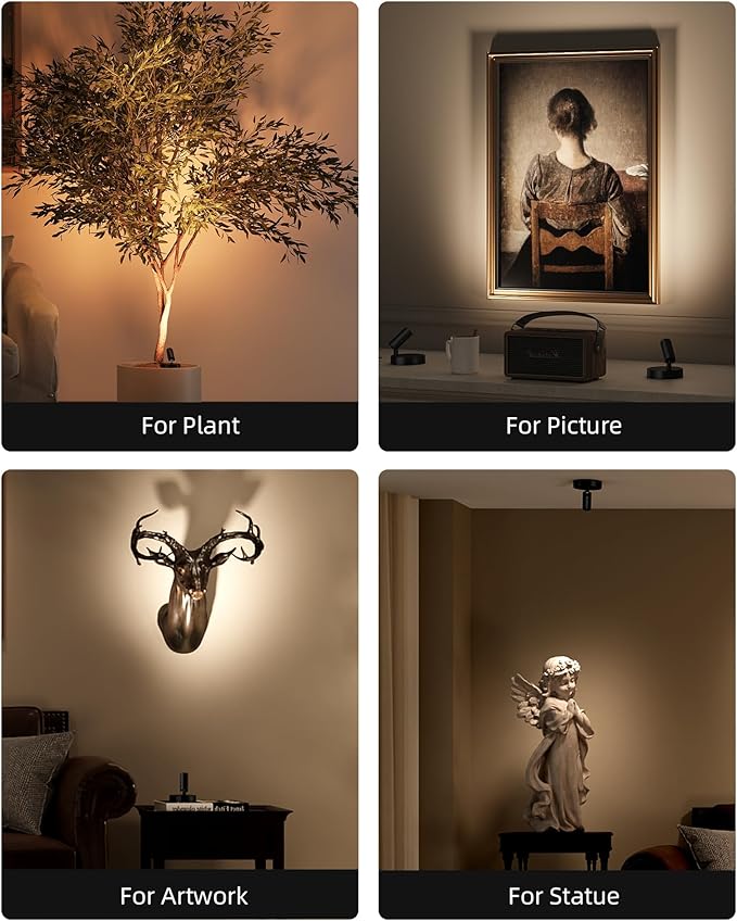 EZVALO Wireless LED Spotlights Indoor, 5500mAh Rechargeable Battery Powered Plants Spotlights Indoor, Dimmable & Timer, 3 CCT Small Up Lights with Remote, Accent Uplighting for Artwork,Tree(Black)
