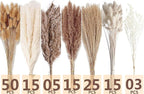 Dried Pampas Grass Decor, 128PCS Pampas Grass with Bunny Tails Dried Flowers, Reed Grass Bouquet for Wedding, Boho Flowers, Home Table Decor, Rustic Farmhouse Party