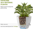 FaithLand 3-Pack Planter Pots, 10 9 8 Inch Self Watering Flower Pots for Indoor Outdoor Garden Plants, White with Brown