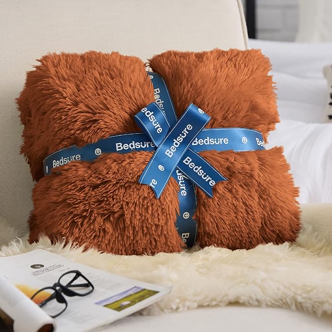 Bedsure GentleSoft Fluffy Burnt Orange Throw Blanket Fall Decorations for Home, Terracotta Blanket Fall Decor for Living Room, Soft Sherpa Fleece Fuzzy Faux Fur Plush Orange Gifts for Women, 50x60