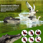 Floating Alligator Head,Alligator Head Decoy for Pool,Resin Crocodile Head for Swimming Pool and Pond,Deterrent Ducks,Predator,Heron etc,Outdoor Statues,Garden Home Decor Art