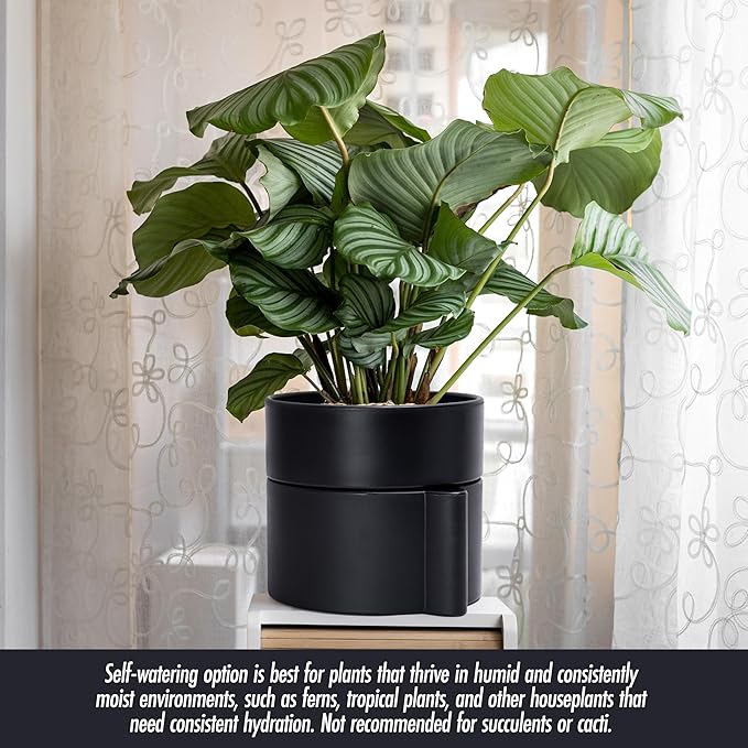 Phoenix Vine 8 Inch Self-Watering Planter Pot with Terracotta Insert, Deep Water Reservoir, and Ceramic-Alike BPA-Free Plastic Planter Pot for Plant, Modern Planter for Houseplants, Black, 53-A-T-2