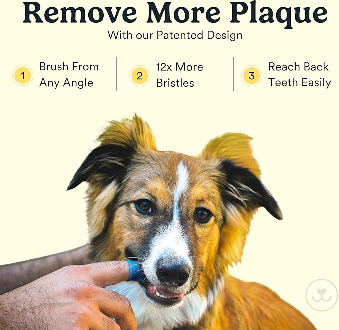 Jasper Dog Toothbrush, 360 Dog Tooth Brushing Kit, Finger Toothbrush, Cat Tooth Brush, Teeth Cleaning, Pet Tooth Brush for Small & Large Pets, Pet Toothpaste Not Included, 4-Pack Clear