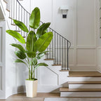 Fake Bird of Paradise Silk Artificial Plant Faux Banana Leaf Tree Lifelike Bird of Paradise for Home Decor Indoor Floor Plant with 10 Trunks (1, White Tall Planter, 6 FT)