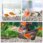 2.5 lbs Small Rocks for Plants, 1/5 Inch Pebbles for Indoor Plants, Natural Decorative Pea Gravel for Aquarium, Fish Tank, Terrarium, Succulents, Bamboo Plants, Vases, Cactus, Crafts