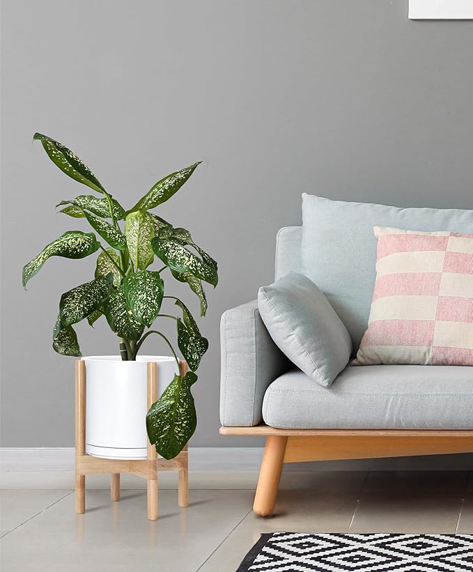 D'vine Dev Ceramic Planter with Natural Stand - 10 Inch Modern Round Flower Pot with Wood Planter Holder, White, 55-B-K-1