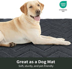 Stiio Dirt Trapper Door Mat 24x35.5 Inches, Front Doormat Indoor Outdoor Entrance Low Pile, All-Season, All-Weather Absorbent Entry Rug, Washable Non Slip Rug for Entryway, Dark Grey