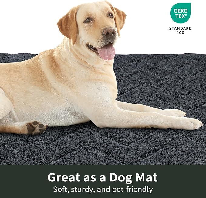 Stiio Front Door Mat Indoor Outdoor Entrance 20x31.5 Inches, Non Slip Washable Entry Rug, Dog Doormat, Absorbent Entrance Mat for Front & Back Door, Muddy Wet Shoes & Paws, Dark Grey