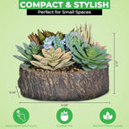 Premium Assorted Artificial Succulent Collection - Large Real Touch Artificial Cactus, Aloe Vera & Succulent Plants Artificial with Pots for Home Office Indoor (Artificial Tree Stump - Pot)