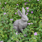 DiliComing Grey Resin Rabbit Garden Statue - Large Garden Statues for Home Yard Decor Garden Statues for Outside Balcony Bunny Decor for Garden Gifts 9 × 5 × 12 Inch