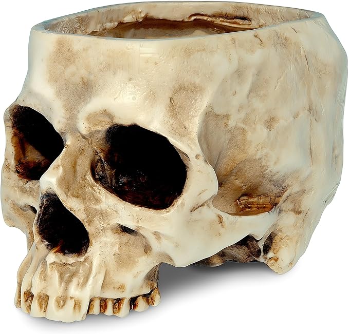 READAEER Skull Planter with Drain Hole, Resin Skull Shaped Flower Pot Candy Bowl, Gothic Decoration for Home Office Desk- White